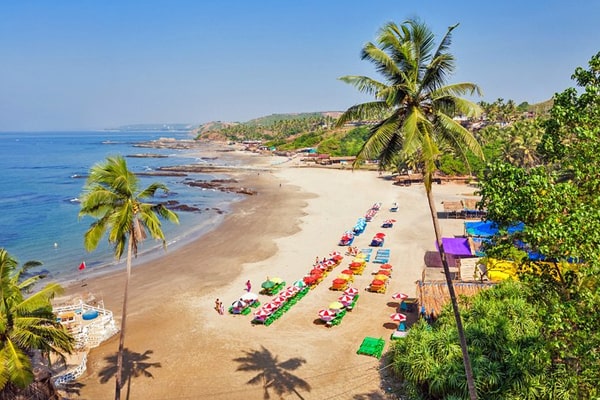 Goa Hotels & Resorts